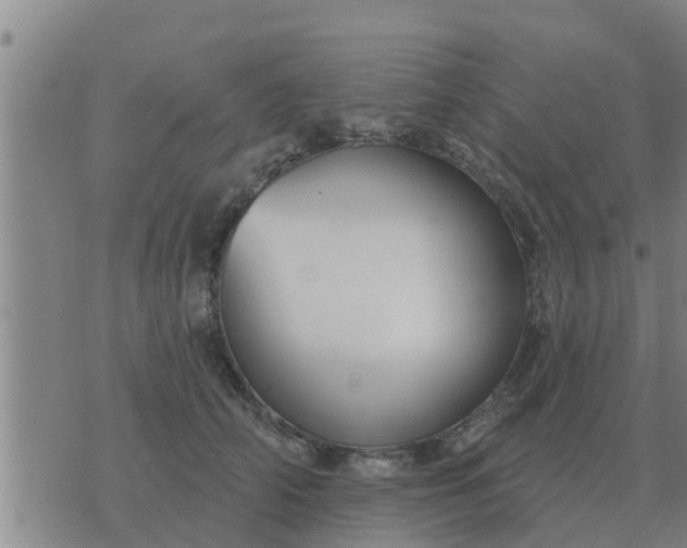 X0000074340706200609082057