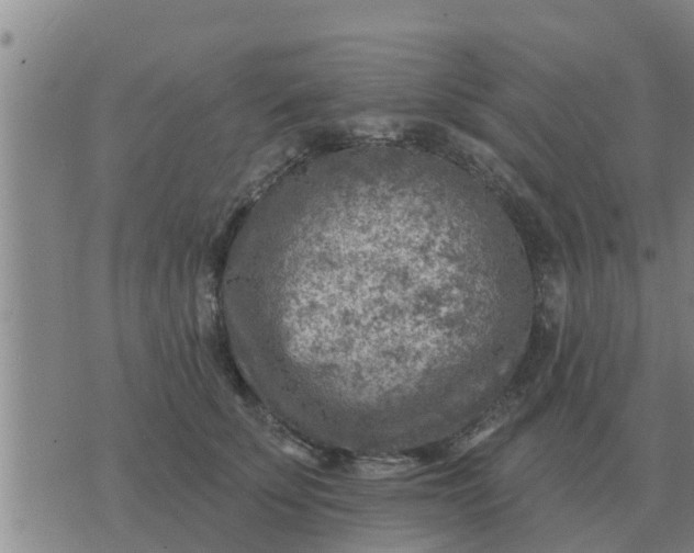 X0000074340707200609082057