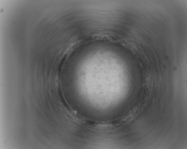 X0000074340708200609082057