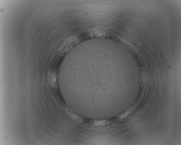 X0000074340709200609082057