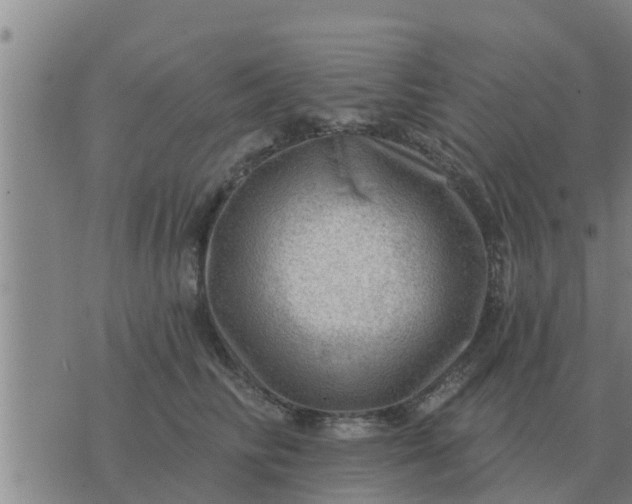 X0000074340710200609082057