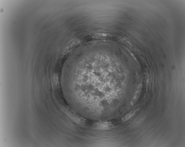 X0000074340711200609082057