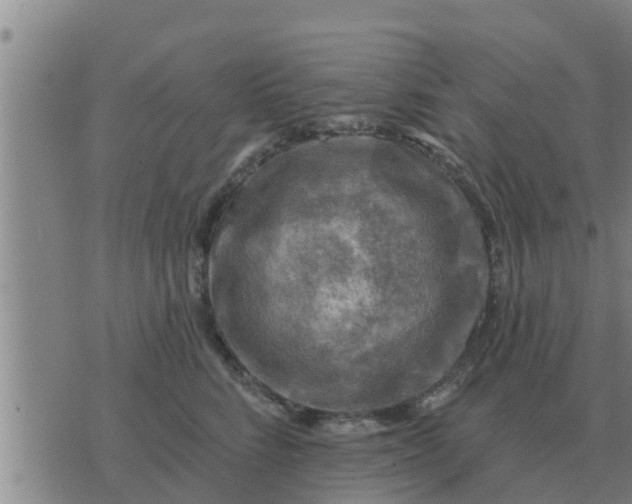 X0000074340712200609082057