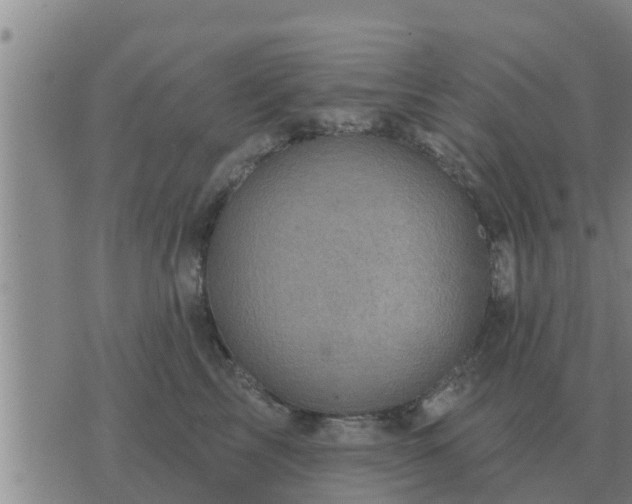 X0000074340713200609082057