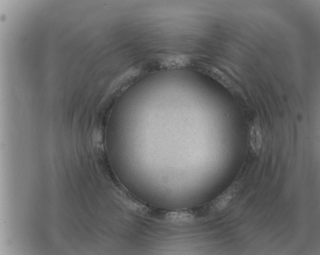 X0000074340714200609082057