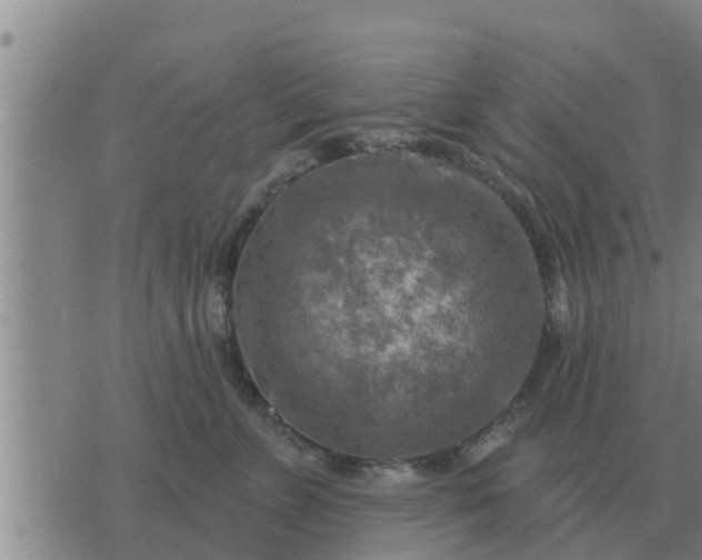 X0000074340715200609082057