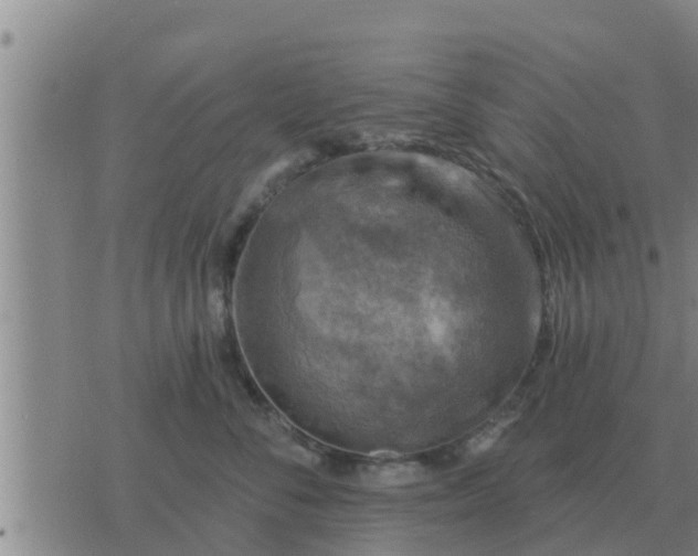 X0000074340716200609082057