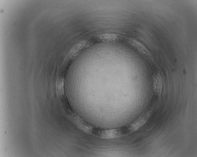 X0000074340717200609082057