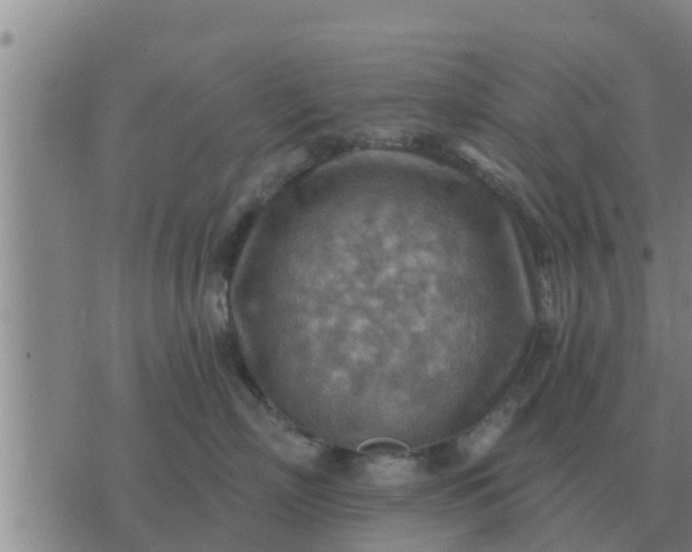 X0000074340718200609082057