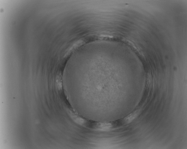 X0000074340719200609082057