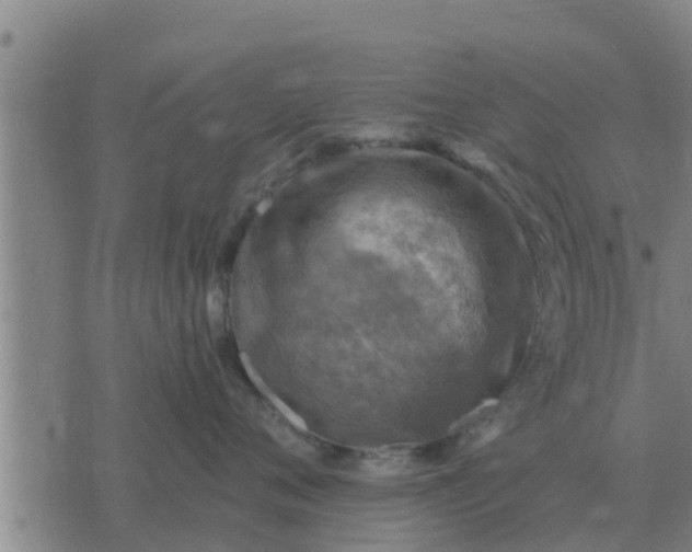 X0000074340720200609082057