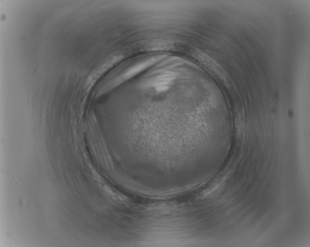 X0000074340721200609082056