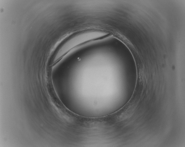 X0000074340722200609082056