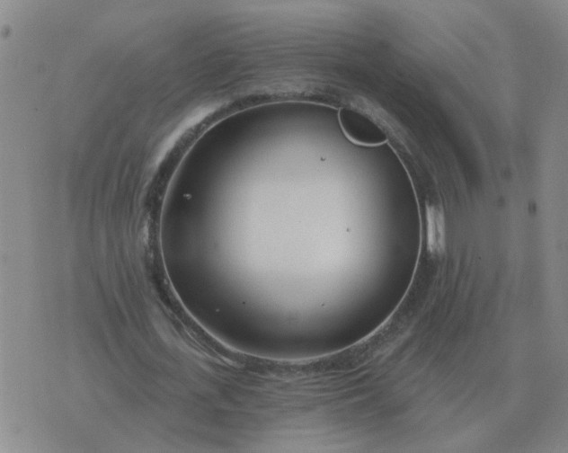 X0000074340723200609082056