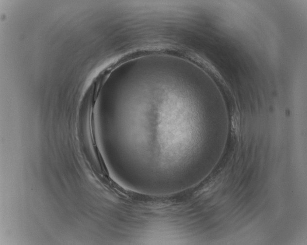 X0000074340724200609082056