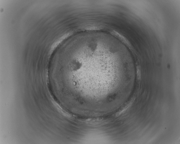 X0000074340725200609082056