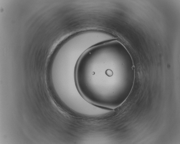 X0000074340728200609082056