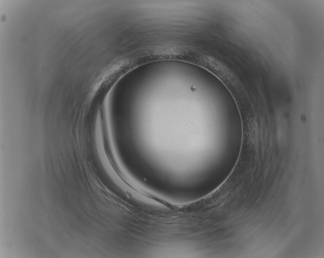 X0000074340731200609082056