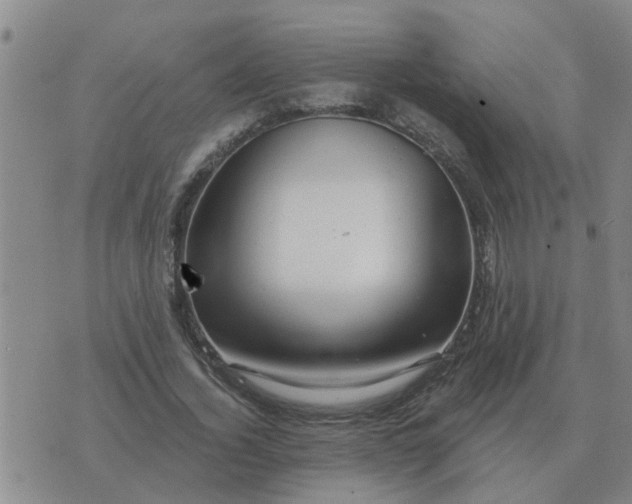 X0000074340732200609082056