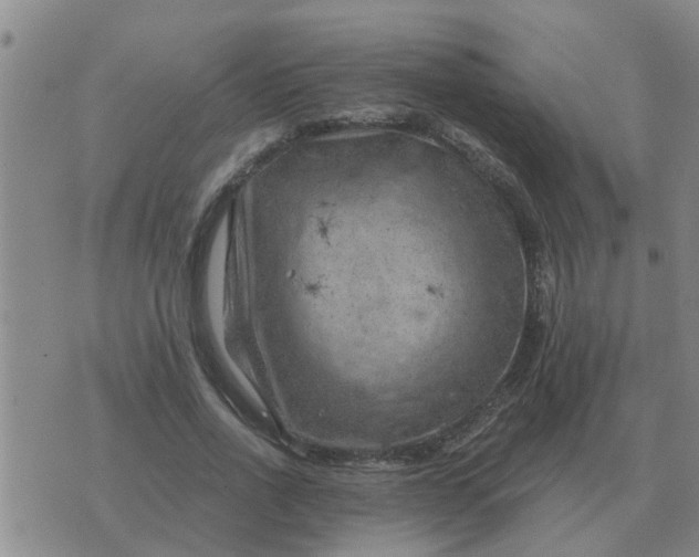 X0000074340734200609082056