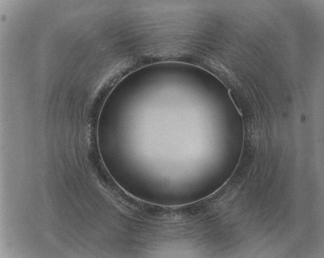 X0000074340735200609082056