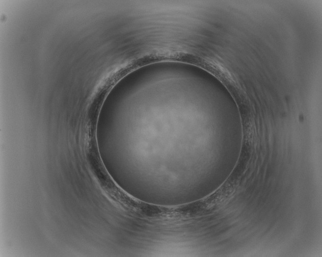 X0000074340736200609082056