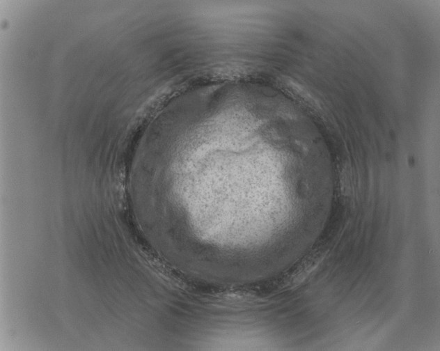 X0000074340737200609082056