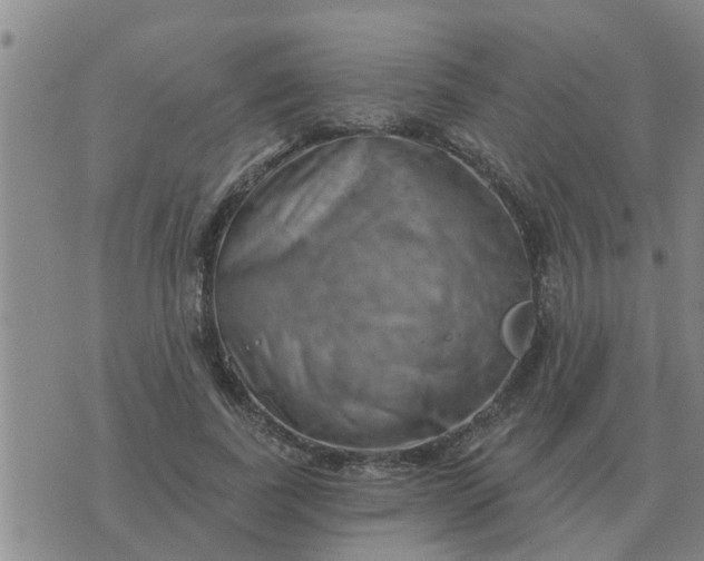 X0000074340739200609082056