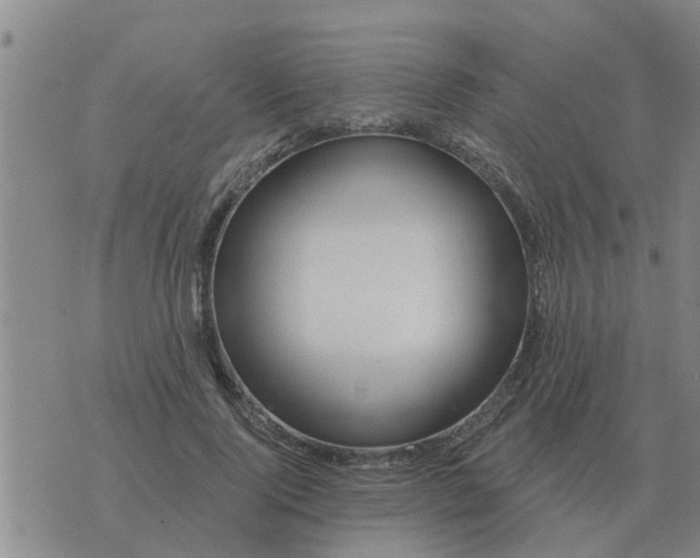 X0000074340740200609082056