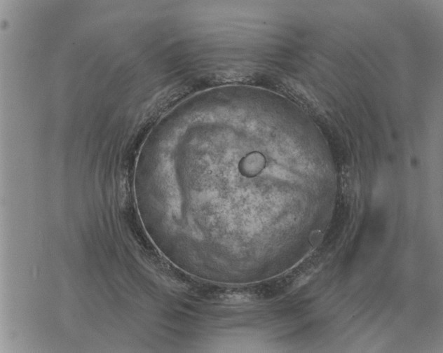 X0000074340741200609082056