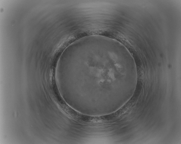 X0000074340742200609082056