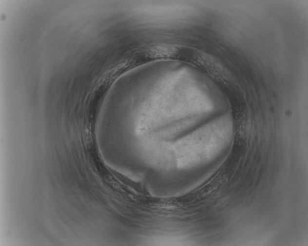 X0000074340743200609082057