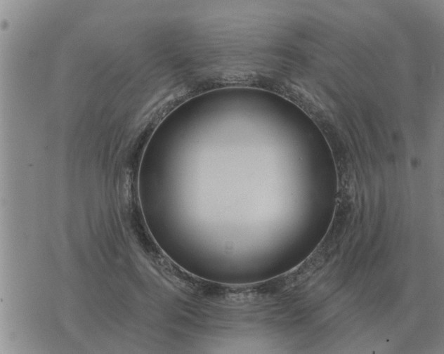 X0000074340744200609082057