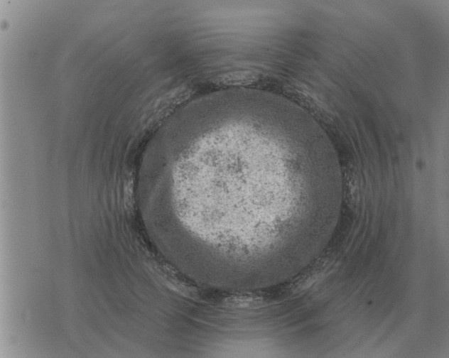 X0000074340745200609082057