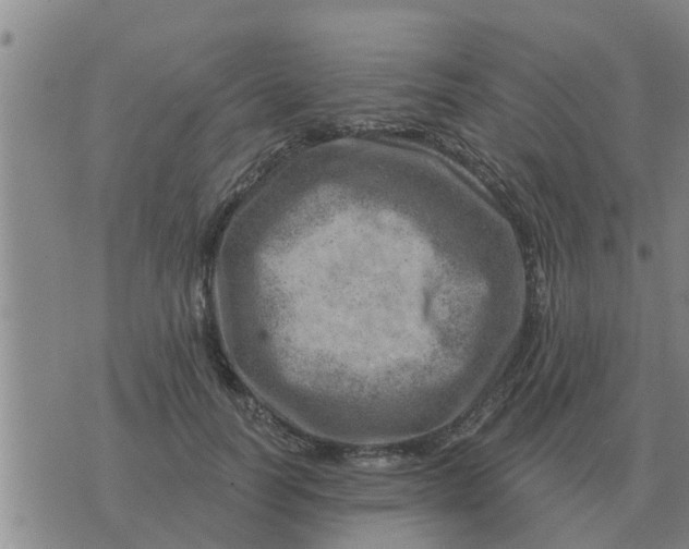 X0000074340746200609082057