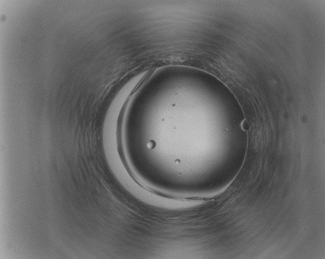 X0000074340747200609082057