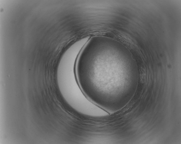 X0000074340748200609082057