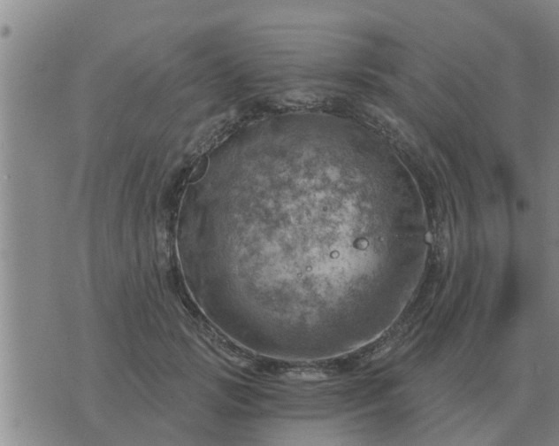 X0000074340749200609082057