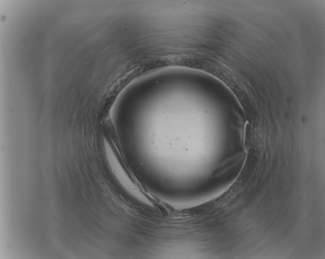 X0000074340750200609082057