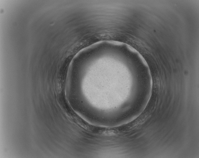 X0000074340751200609082057