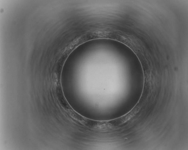 X0000074340752200609082057