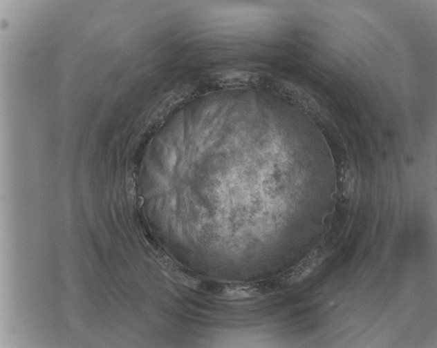 X0000074340753200609082057