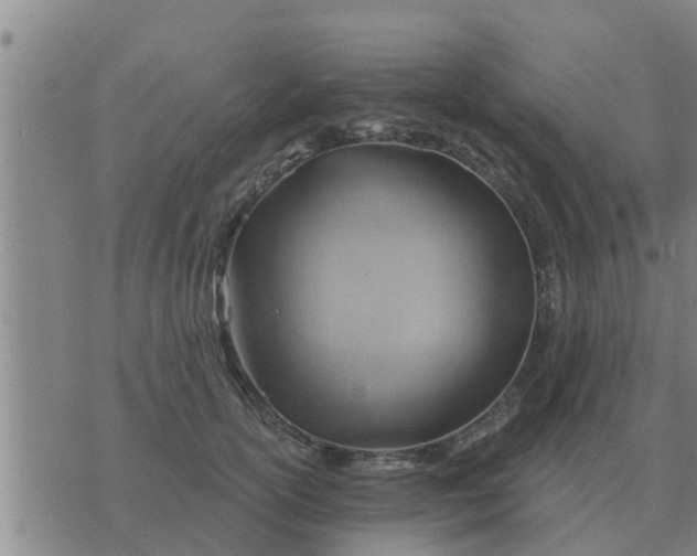 X0000074340754200609082057