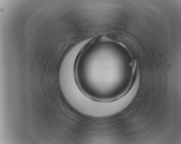 X0000074340756200609082057