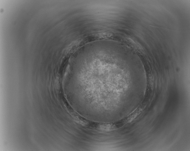 X0000074340757200609082057