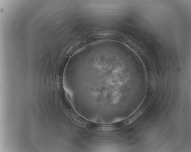 X0000074340758200609082057