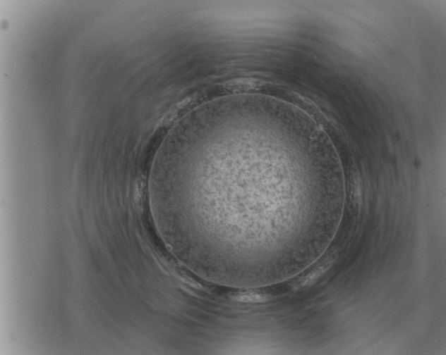 X0000074340759200609082057