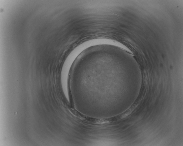 X0000074340760200609082057