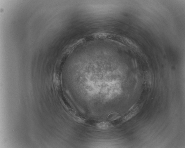 X0000074340761200609082057