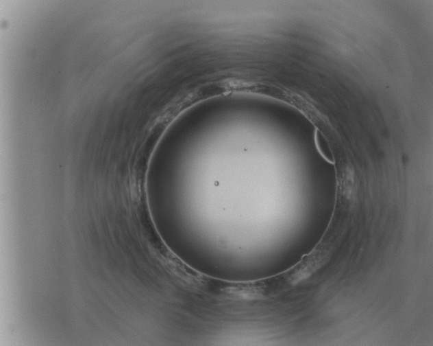 X0000074340763200609082057